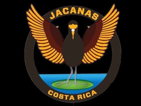 Conversamos con Ruth Rodríguez (Jacanas Costa Rica)