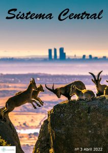 Sistema Central 3