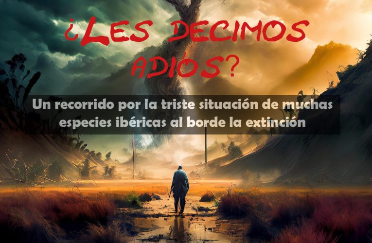 ¿Les decimos adiós?