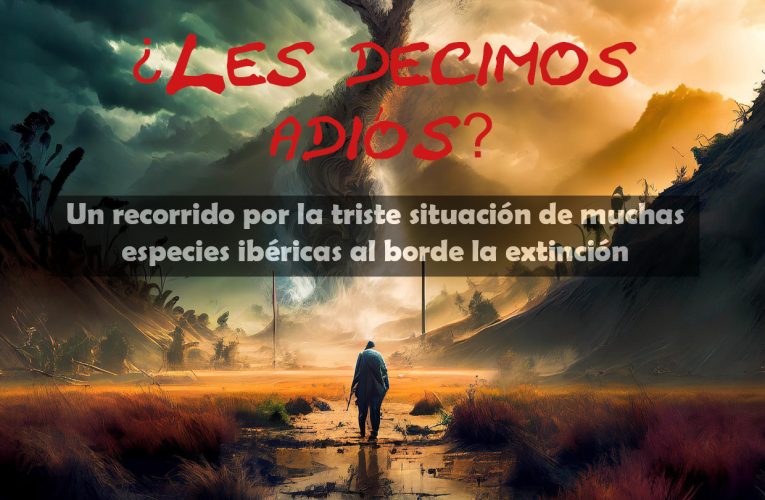 ¿Les decimos adiós?