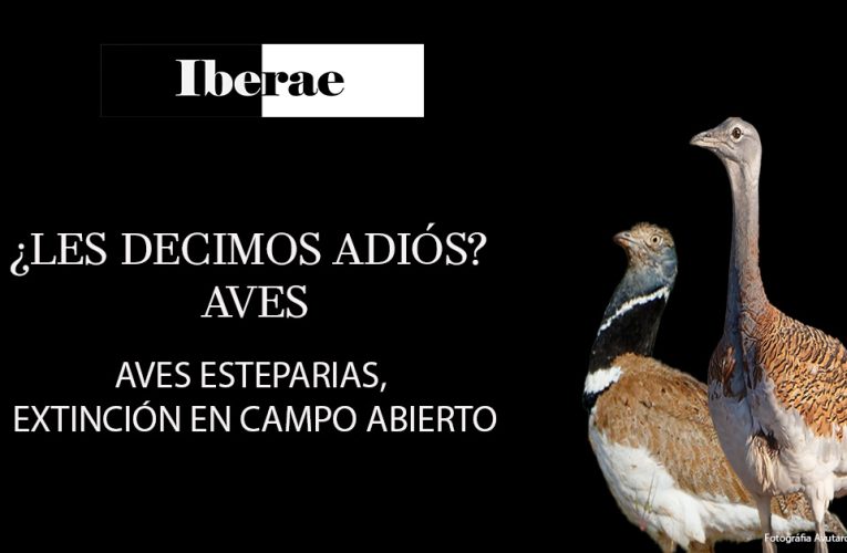 AVES ESTEPARIAS, EXTINCIÓN EN CAMPO ABIERTO