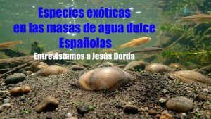 Especies exóticas en las masas de agua dulce españolas